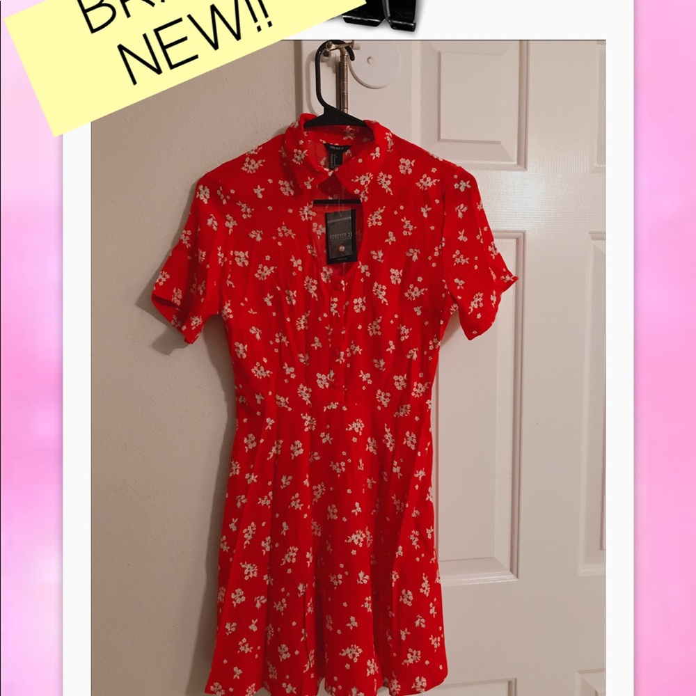 Sunday Dress